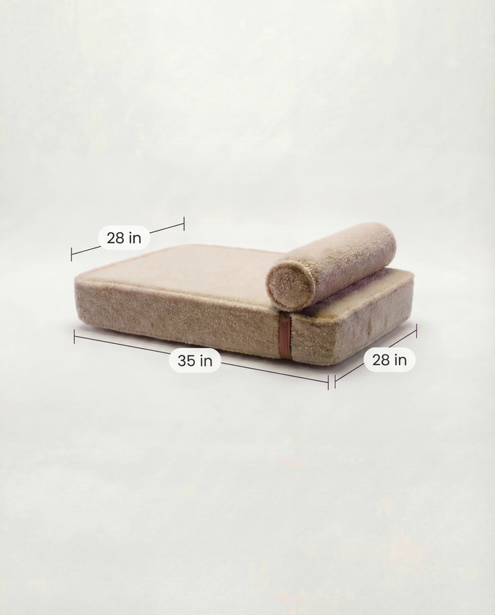 Modern Day dog bed dimensions: 35 in wide and 28 in deep
