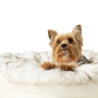 PupPouf Faux Fur Donut Dog Bed, White with Brown Accents, photo 5