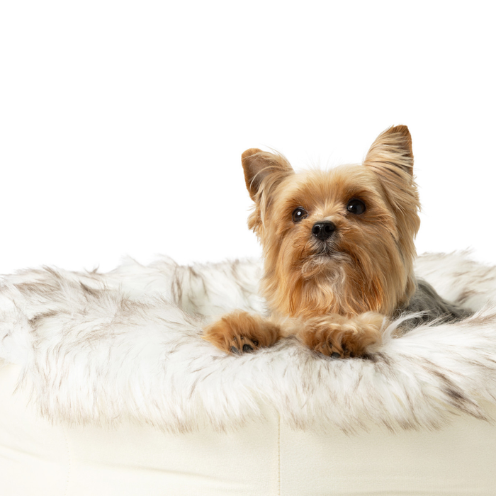 PupPouf Faux Fur Donut Dog Bed, White with Brown Accents, photo 5