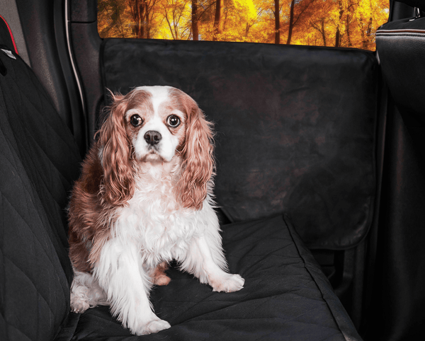 Protectores de puerta para auto PupProtector, paquete de 2