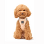 Dune SoHo Step-In Dog Harness, photo 7