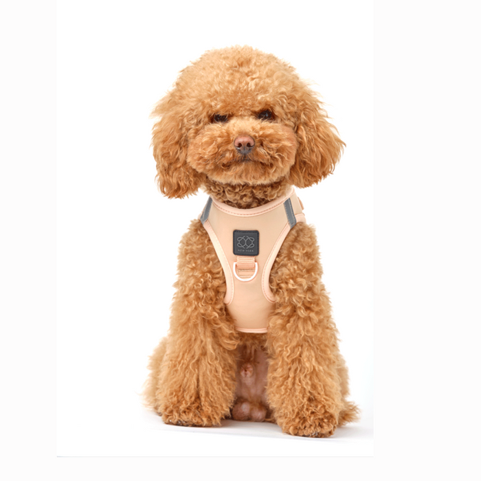 Dune SoHo Step-In Dog Harness, photo 7