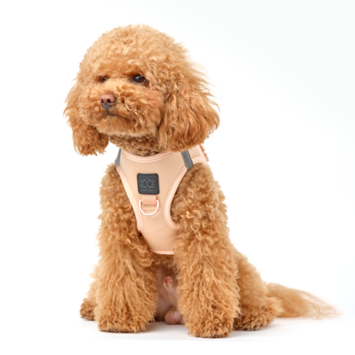 Dune SoHo Step-In Dog Harness, photo 8
