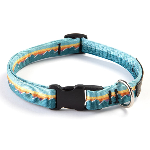 Classic Quick-Release Dog Collar, 1 Inch, photo 2