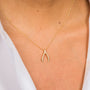 Dije de hueso de la suerte con diamantes en oro de 14K, foto 3