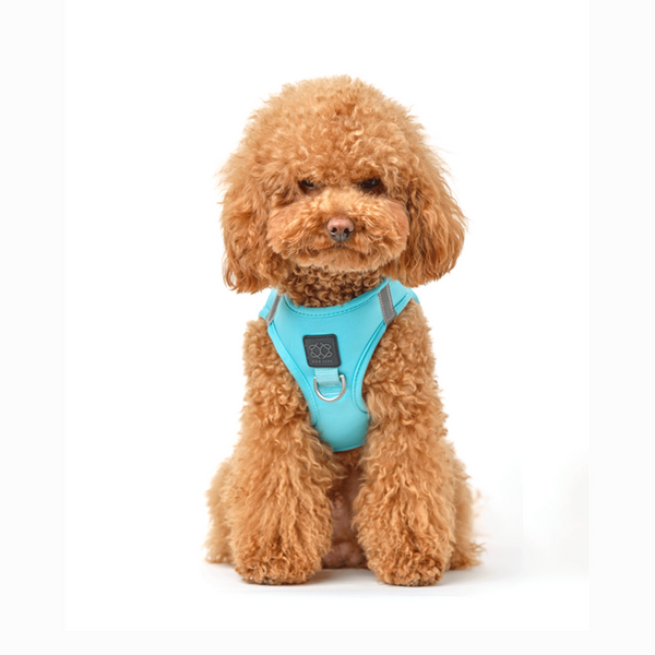 Fifth Avenue SoHo Step-In Dog Harness, photo 2