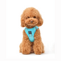 Fifth Avenue SoHo Step-In Dog Harness, photo 2