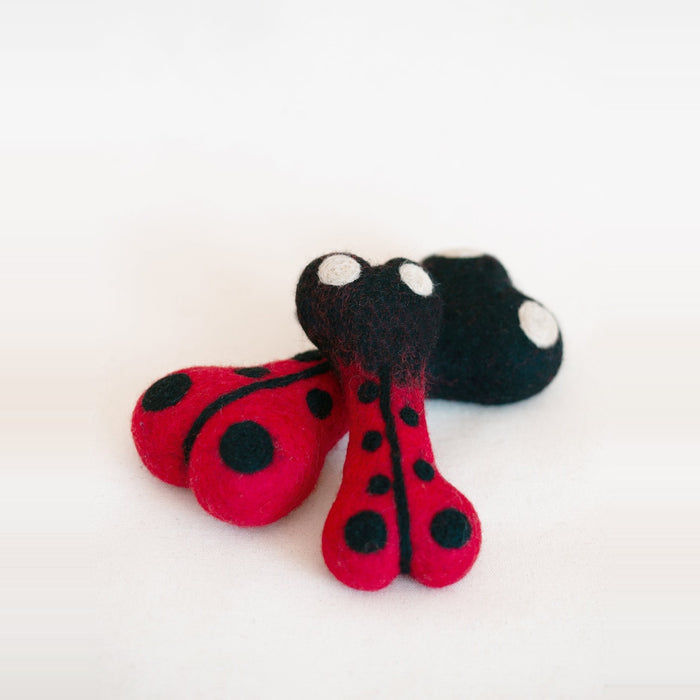 Juguete Woolbone para perro Ladybug, foto 1