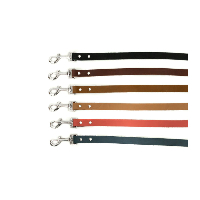 Modern Leather Dog Leash
