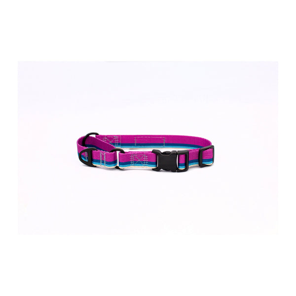 Nylon Martingale Dog Collar