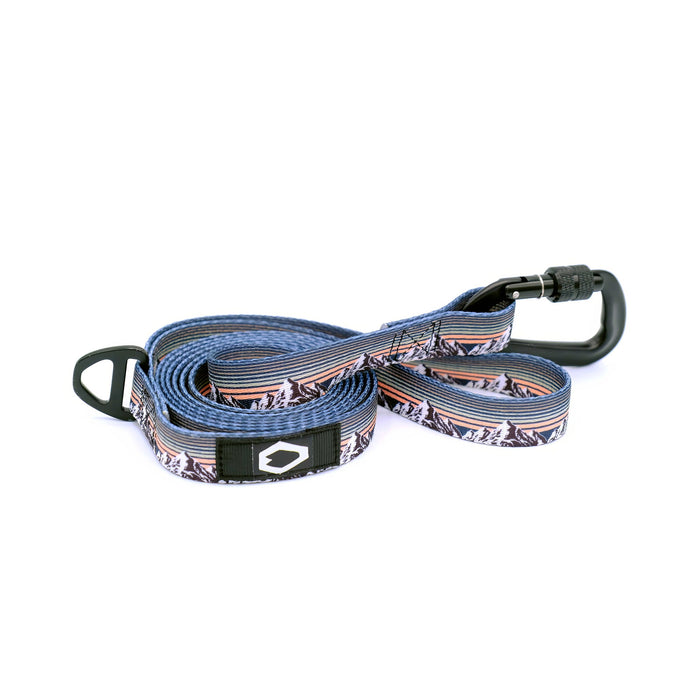 Correa de nailon para perro