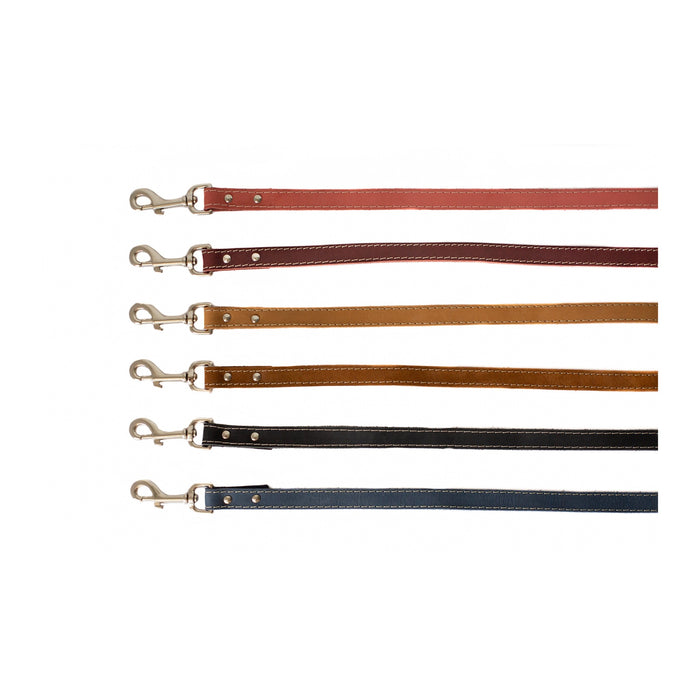 Pro Line Leather Dog Leash