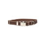 Pro Line Leather Dog Collar with Metal Quick-Release Buckle