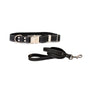 Quick-Release Leather Collar and Leash Set