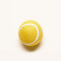 Juguete de lana para perro Tennis Ball, foto 1