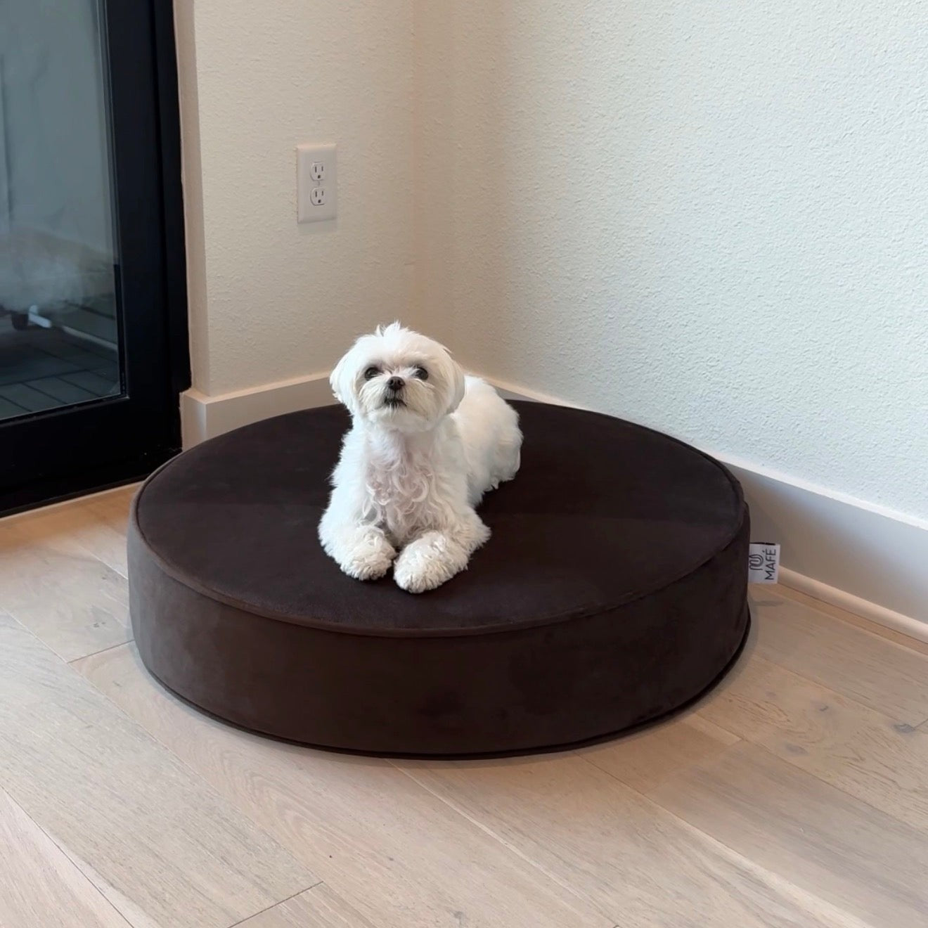Cama redonda tipo puf para perro The Circle