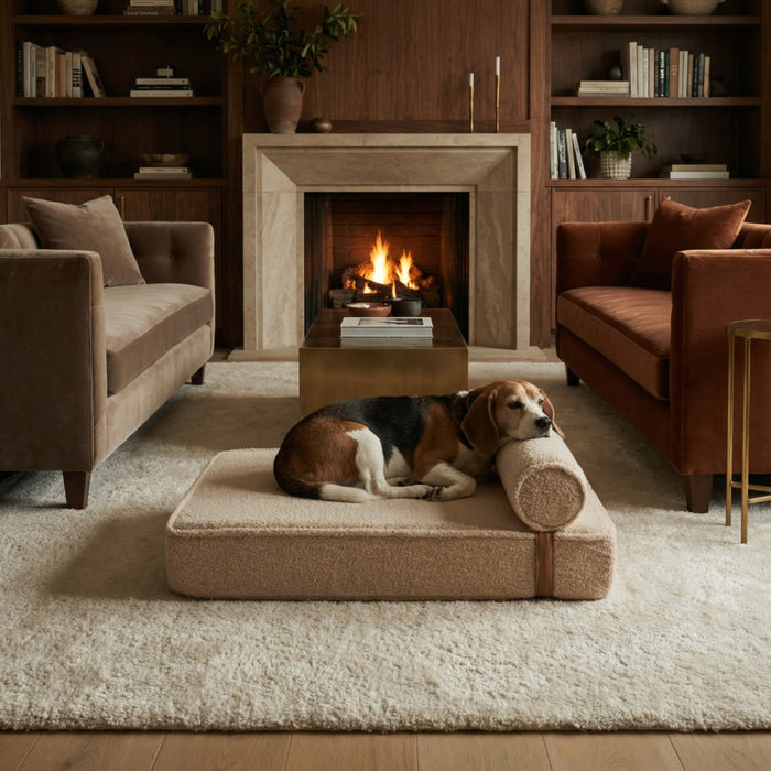 Cama lounge para perro The Modern Day, de bouclé