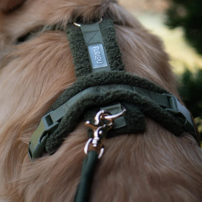 Primer plano del lomo de un perro con el arnés sherpa verde musgo y la correa enganchada