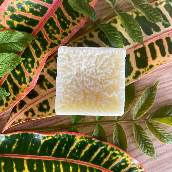 Unscented Pet Conditioner Bar, photo 4