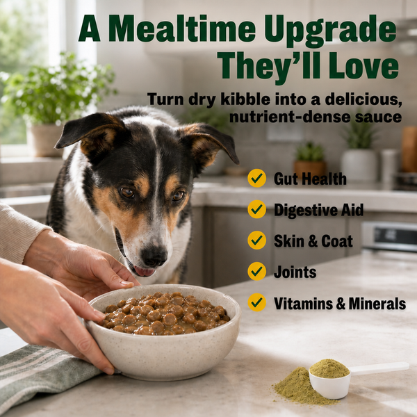 SuperSauce 12-in-1 Probiotic Kibble Topper for Dogs, photo 2