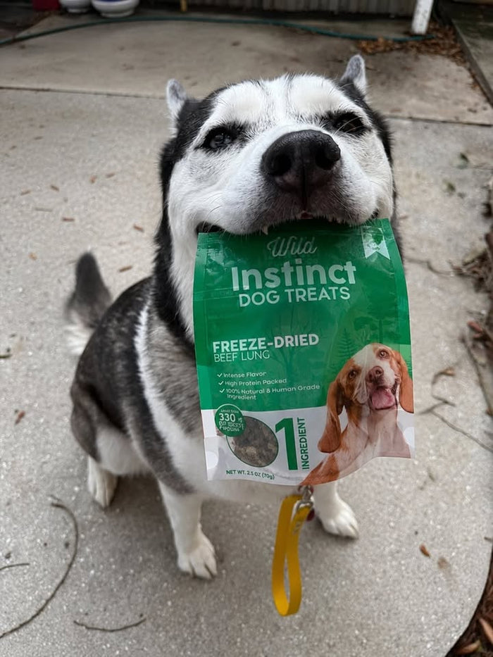 Freeze-Dried Beef Lung Dog Treats, photo 5