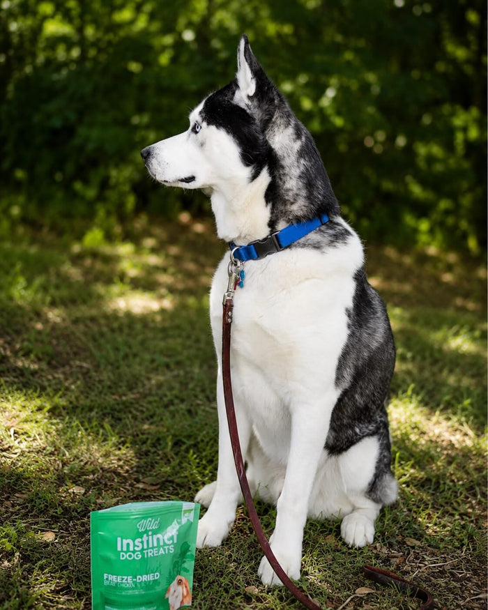 Freeze-Dried Beef Lung Dog Treats, photo 7