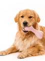 Juguete Woolbone para perro Classic, foto 10