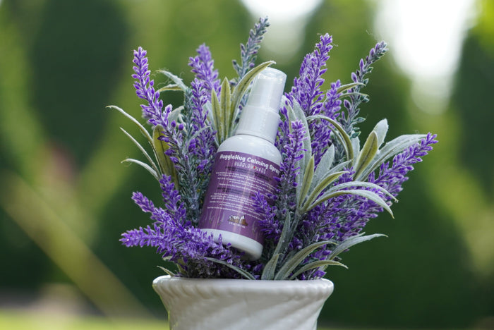 HuggleHug Lavender Bone and 2 oz Spray Set, photo 7