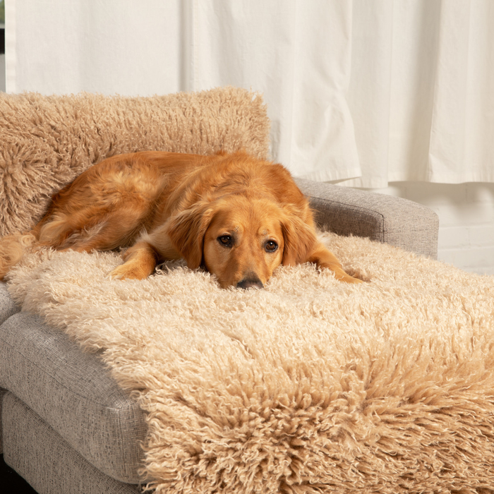 Piecera impermeable PupProtector Luxe, oveja afelpada canela, foto 3