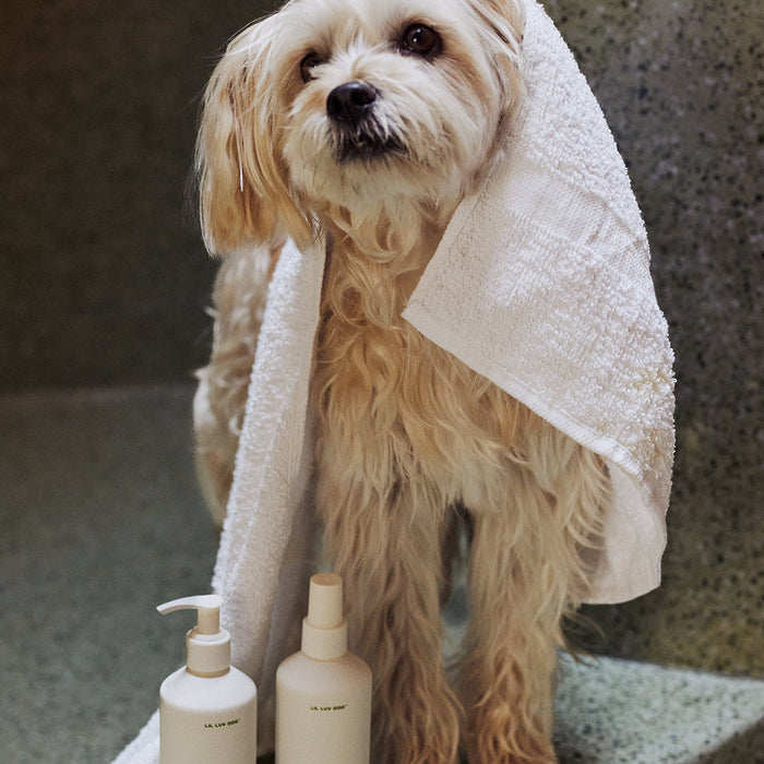 Champú líquido Liquid Wash para perro, 11.8 fl oz, foto 4