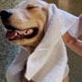 Champú líquido Liquid Wash para perro, 11.8 fl oz, foto 8