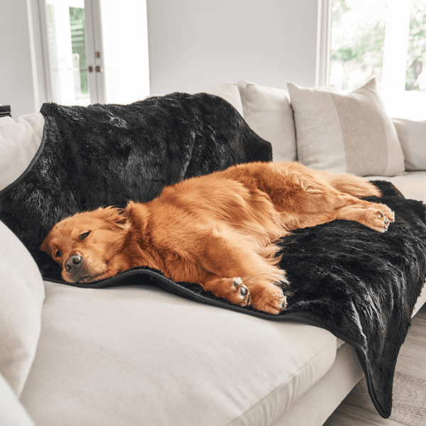 PupProtector Summer Short Fur Waterproof Throw Blanket, Midnight Black, photo 2