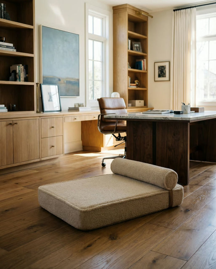 Modern Day dog bed in a home office with wood shelves