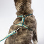 Roman-Style Strap Dog Harness, 1 Inch, photo 6