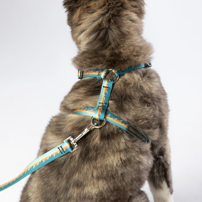Roman-Style Strap Dog Harness, 3/4 Inch, photo 5
