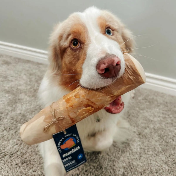 Original Coffee Wood Dog Chew, photo 2