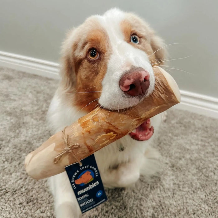 Original Coffee Wood Dog Chew, photo 2