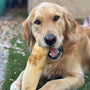 Original Coffee Wood Dog Chew, photo 11