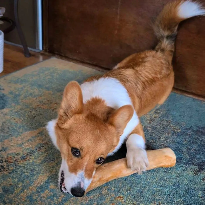 Original Coffee Wood Dog Chew, photo 20