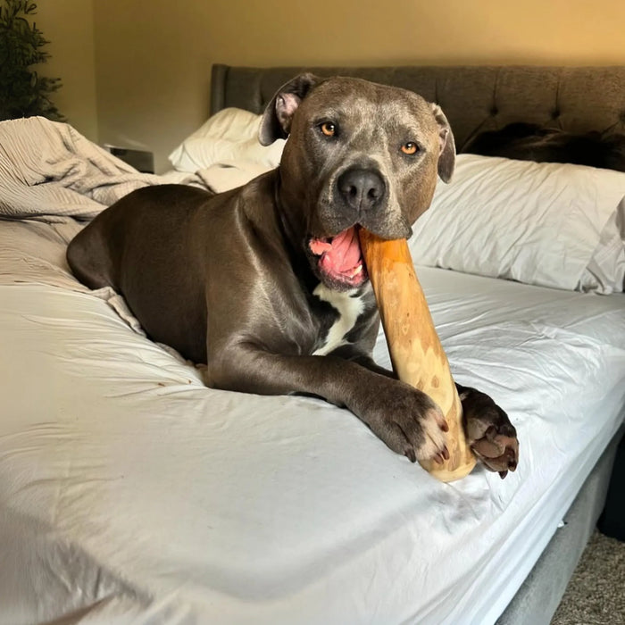 Original Coffee Wood Dog Chew, photo 25