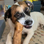 Original Coffee Wood Dog Chew, photo 31