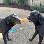 Original Coffee Wood Dog Chew, photo 33