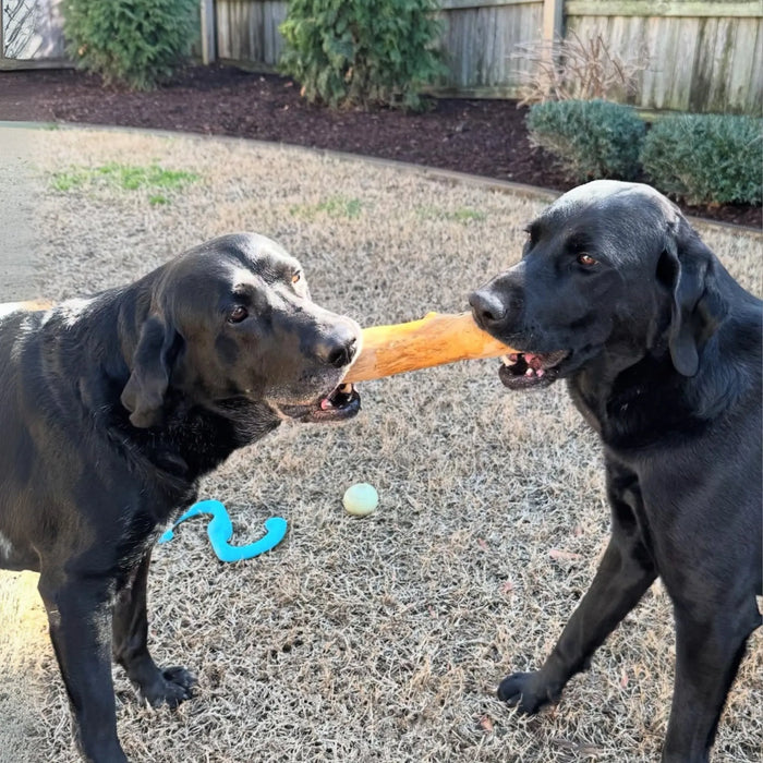 Original Coffee Wood Dog Chew, photo 33