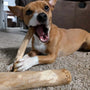 Original Coffee Wood Dog Chew, photo 34