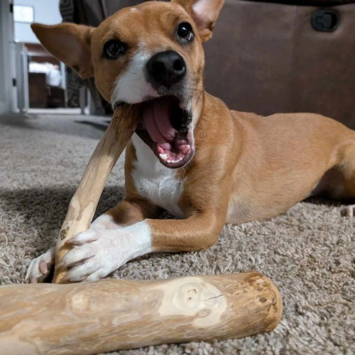 Original Coffee Wood Dog Chew, photo 34