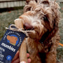 Original Coffee Wood Dog Chew, photo 16