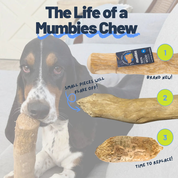 Original Coffee Wood Dog Chew, photo 3