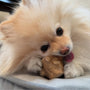 Coffee Wood Root Dog Chew, photo 7