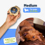 Coffee Wood Root Dog Chew, photo 10