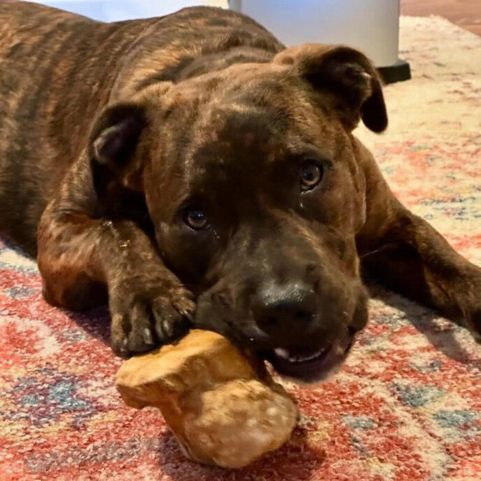 Coffee Wood Root Dog Chew, photo 18